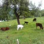 Steyrdurchbruch Leonstein