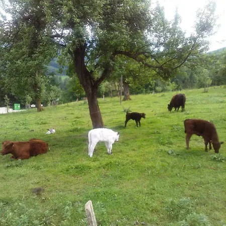 Steyrdurchbruch Leonstein