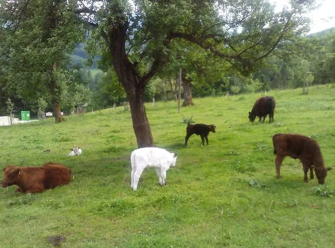 Steyrdurchbruch Leonstein